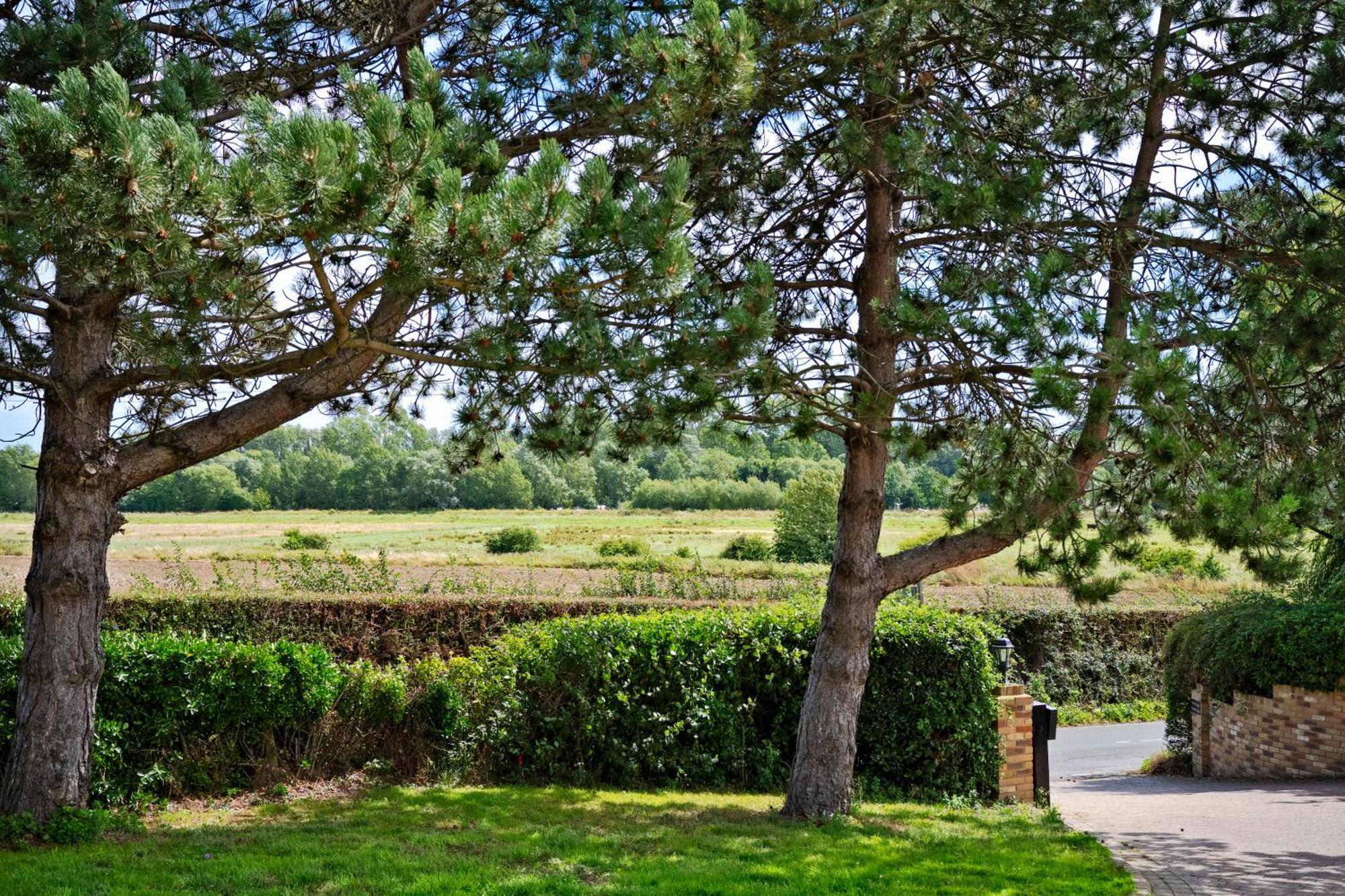 Owlet Lodge Chislet Εξωτερικό φωτογραφία